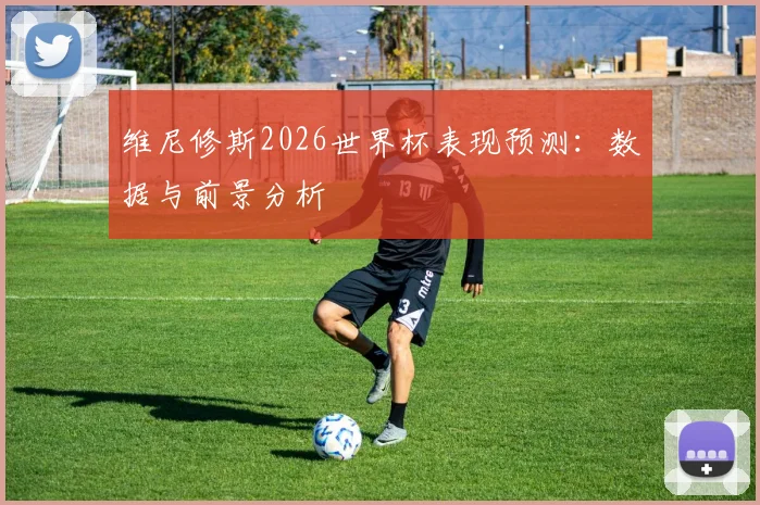 维尼修斯2026世界杯表现预测：数据与前景分析