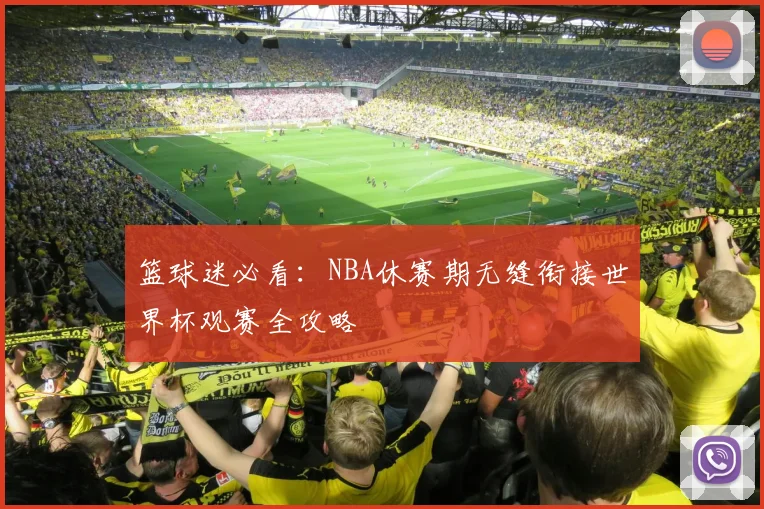 篮球迷必看：NBA休赛期无缝衔接世界杯观赛全攻略