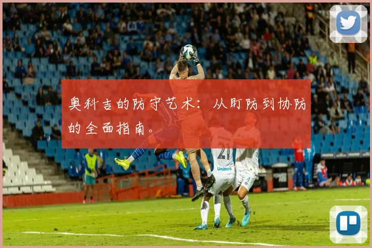 奥科吉的防守艺术：从盯防到协防的全面指南。