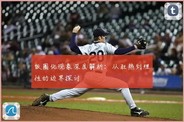 饭圈化现象深度解析：从狂热到理性的边界探讨